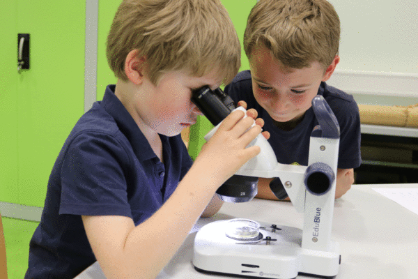 Ein Bild von zwei Jungen, die gemeinsam ein Mikroskop benutzen, symbolisiert Neugier und Lernen in einem Bildungsumfeld.