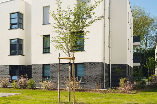 Ein neu gepflanzter Baum vor einem modernen Wohngebäude, der städtische Begrünungsmaßnahmen und umweltfreundliche Stadtentwicklung symbolisiert.