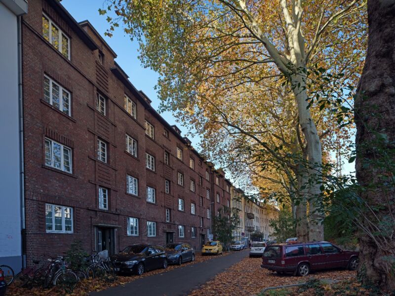 Eine lange, von Bäumen gesäumte Straße mit roten Backsteinwohngebäuden, die durch das Herbstlaub eine malerische Atmosphäre ausstrahlen.