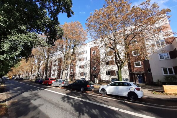 Eine von Bäumen gesäumte Straße mit mehrstöckigen Wohngebäuden im Hintergrund, herbstliches Ambiente mit farbenfrohem Laub.