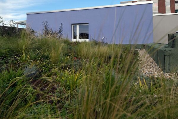 Ein bepflanztes, begrüntes Dach auf einem modernen Gebäude, das für Nachhaltigkeit und Umweltschutz steht.