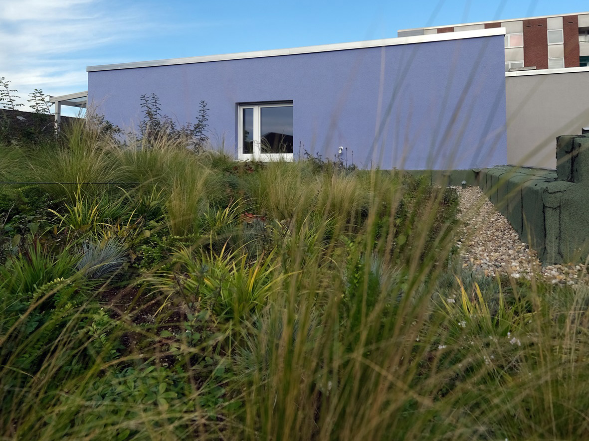 Panoramaansicht eines Dachgartens mit intensiver Begrünung und Blick auf die umliegende Stadtlandschaft.
