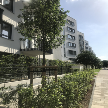 Neubau eines Wohnkomplexes mit bepflanzten Vorgärten und einem sauberen Gehweg. Die Architektur ist modern und funktional.